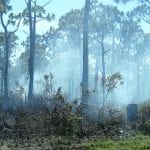 article image - 